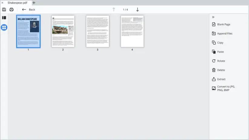 Режим работы со страницами PDFChef by Movavi: Blank Page, Append Files, Copy, Paste, Rotate, Delete, Extract и Convert to JPG, PNG, BMP