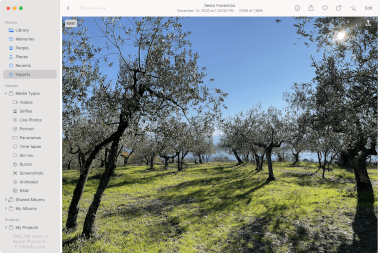 DNG-файл, открытый в Apple Photos