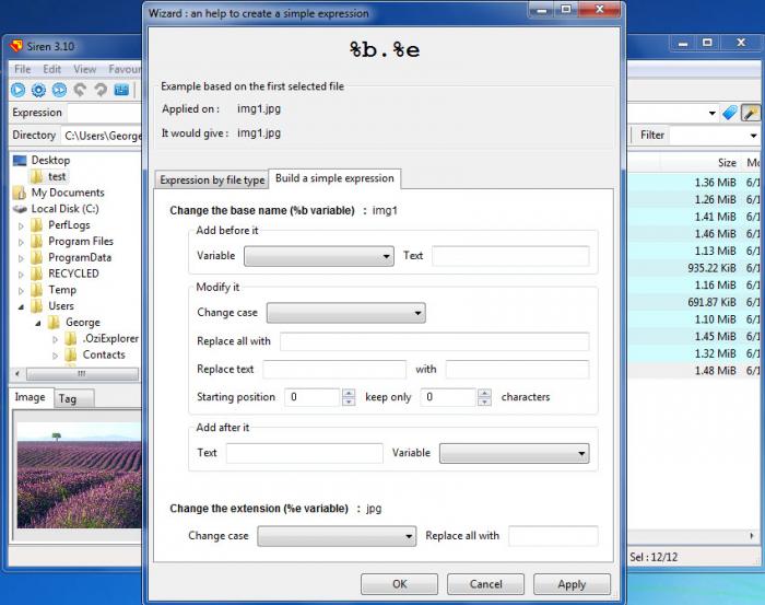 Мастер Siren Renamer для создания выражения с вкладками Expression by file type и Build a simple expression