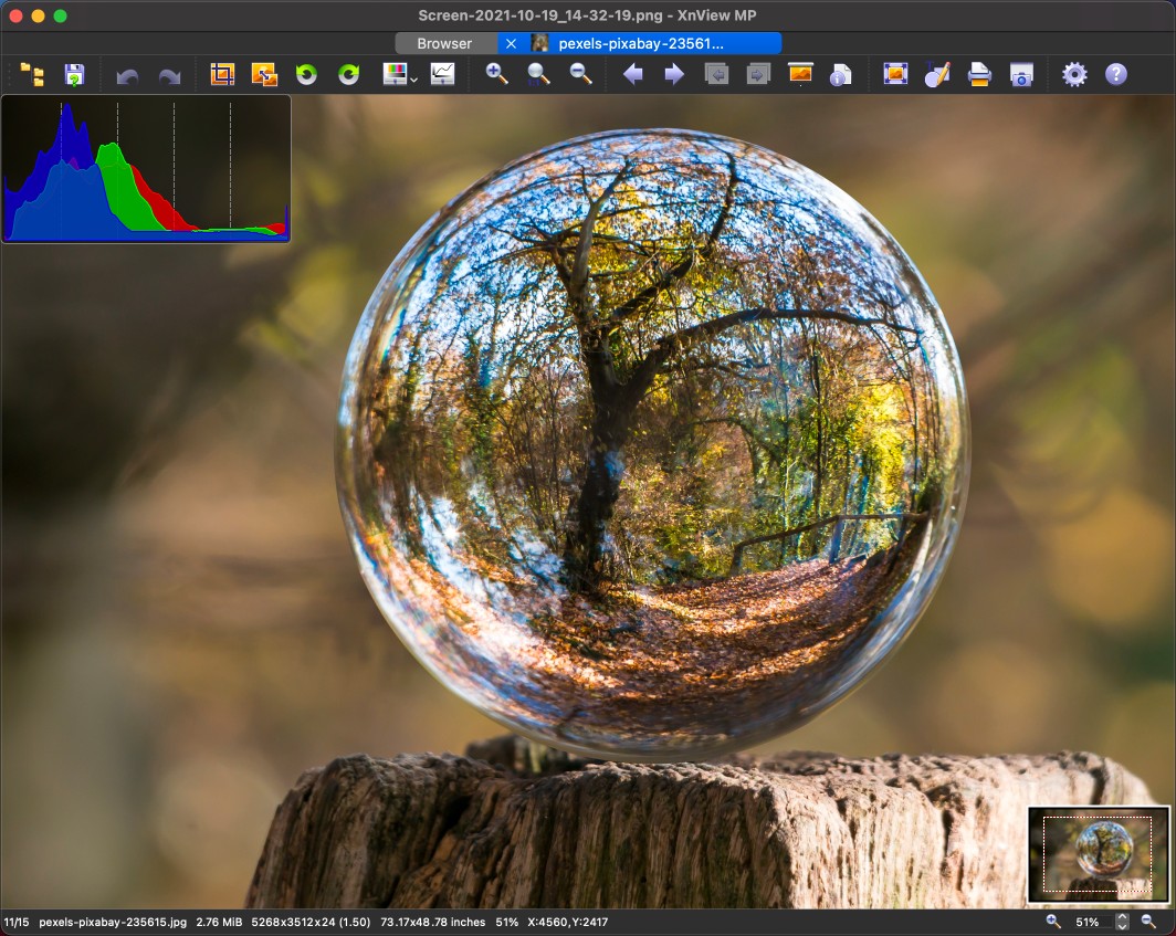 Просмотр изображения в XnView MP на macOS