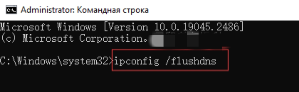 Команда ipconfig flushdns и сообщение об успешной очистке