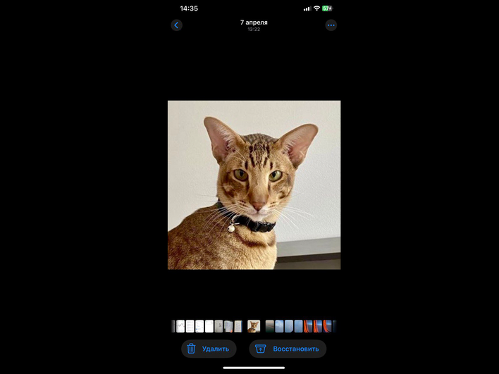 Кнопка Восстановить для снимка в Недавно удалённых на iPhone