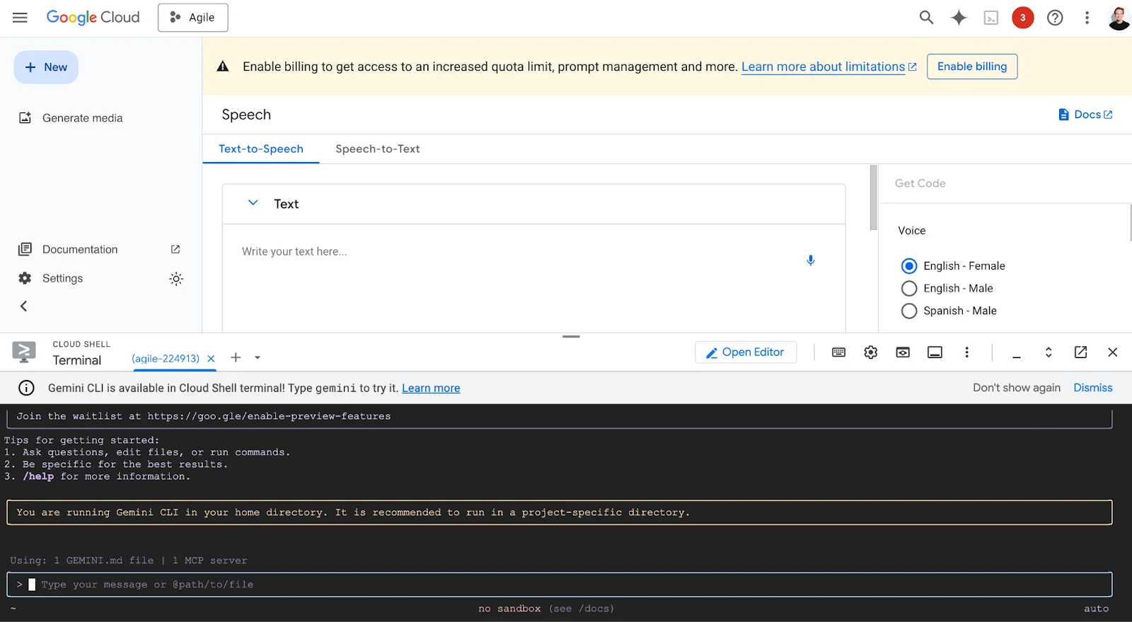 Консоль Google Cloud Text-to-Speech