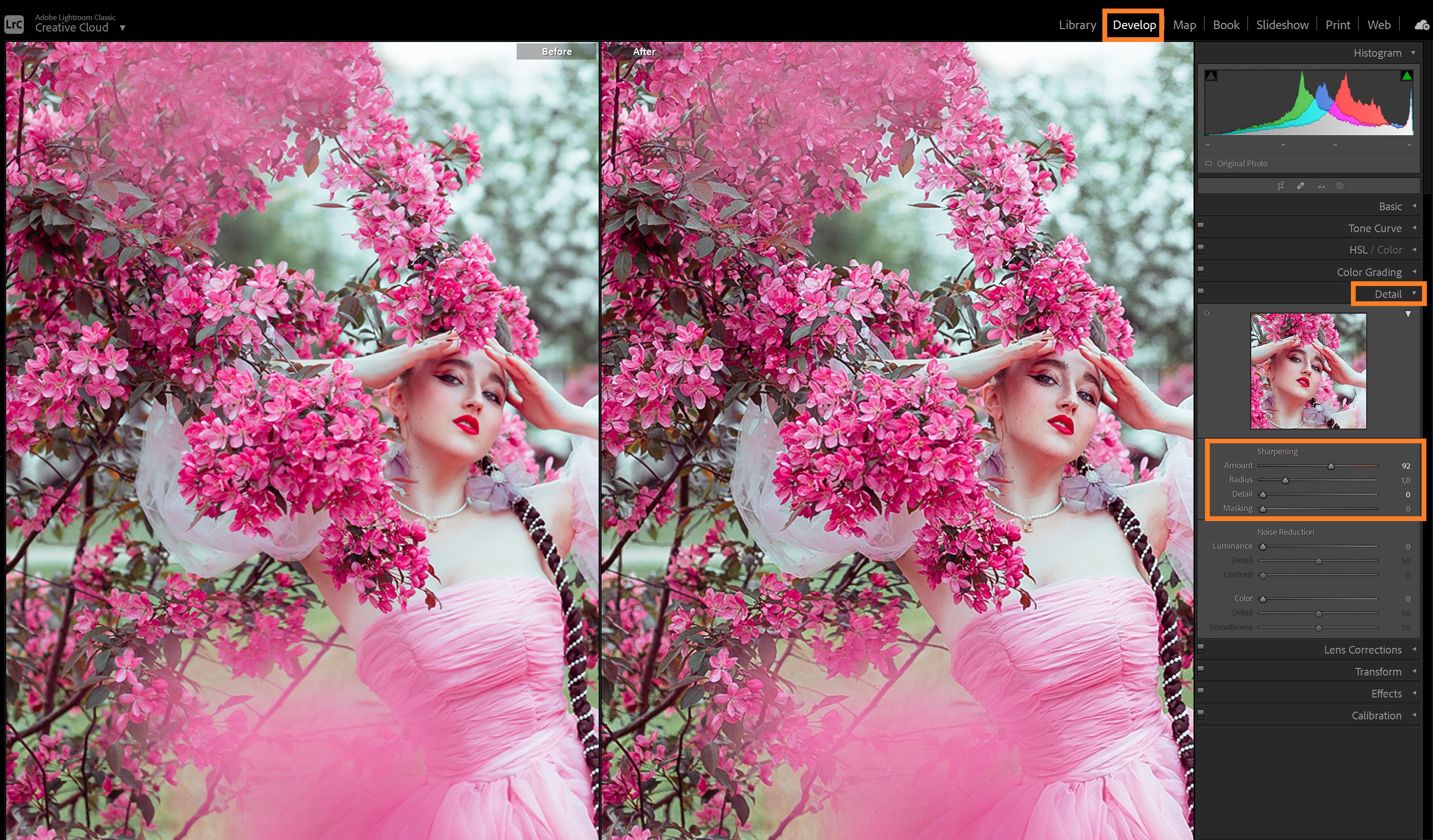 Параметры резкости в Lightroom на примере фотографии