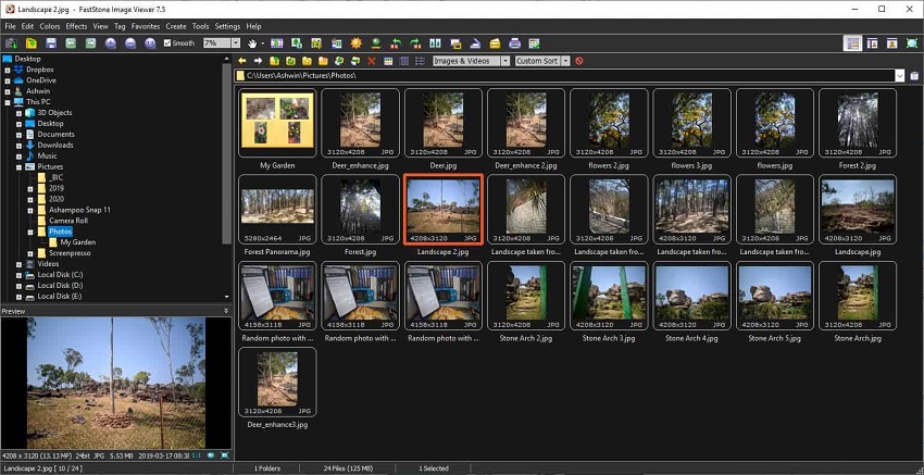 Интерфейс FastStone Image Viewer с деревом папок, миниатюрами и предпросмотром