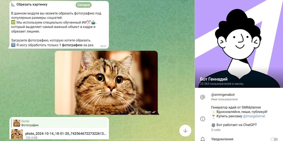 Интерфейс бота Геннадий с модулем обрезки фотографии