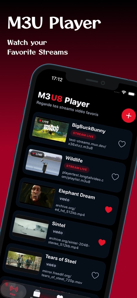 Список собственных M3U8 и HLS-потоков в M3U8 Stream Player на iPhone