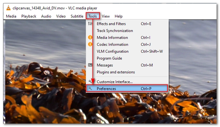 Открытие Preferences в VLC для настройки извлечения кадров
