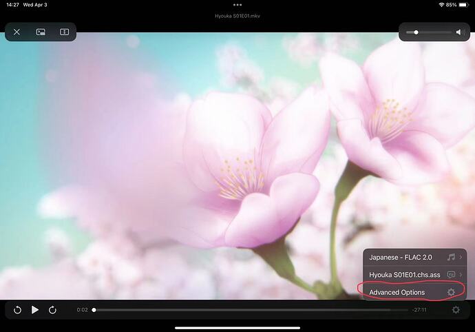 Infuse на iPad: меню аудиодорожки, субтитров и Advanced Options