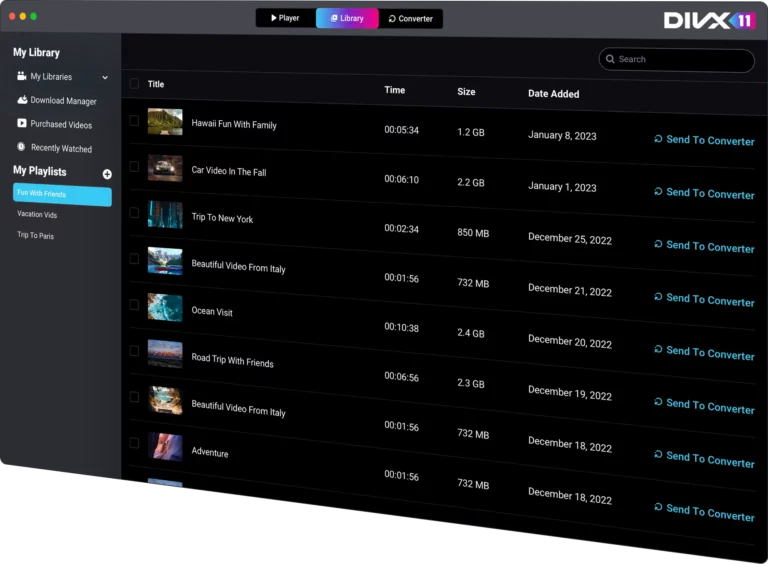 Библиотека DivX 11 с вкладками Player, Library и Converter