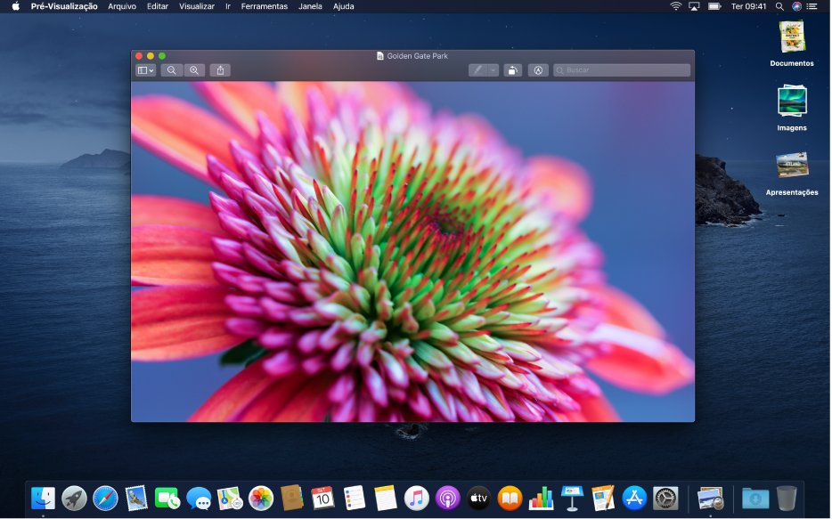 Интерфейс Preview на macOS с открытым изображением