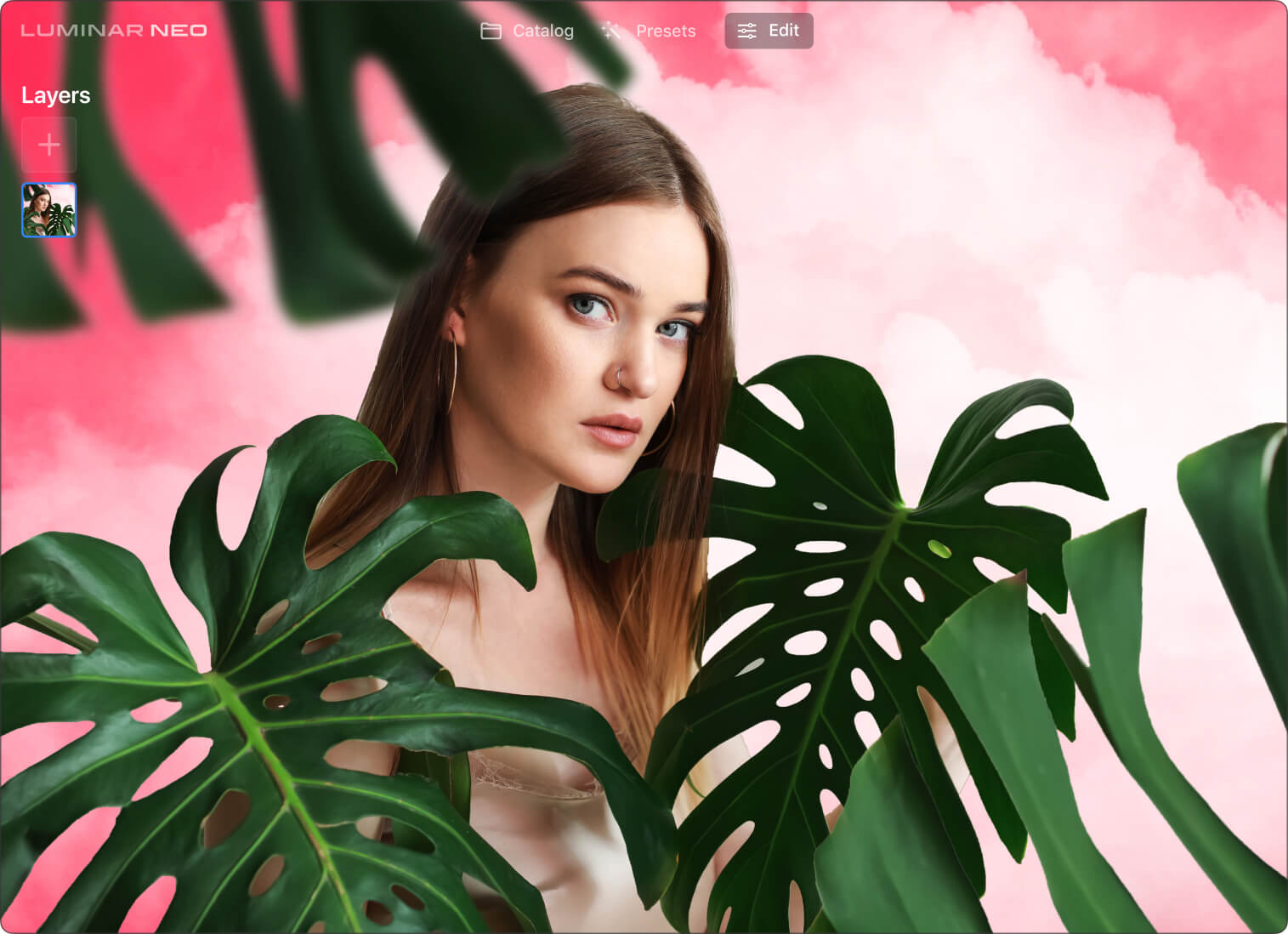 Работа со слоями в Luminar Neo