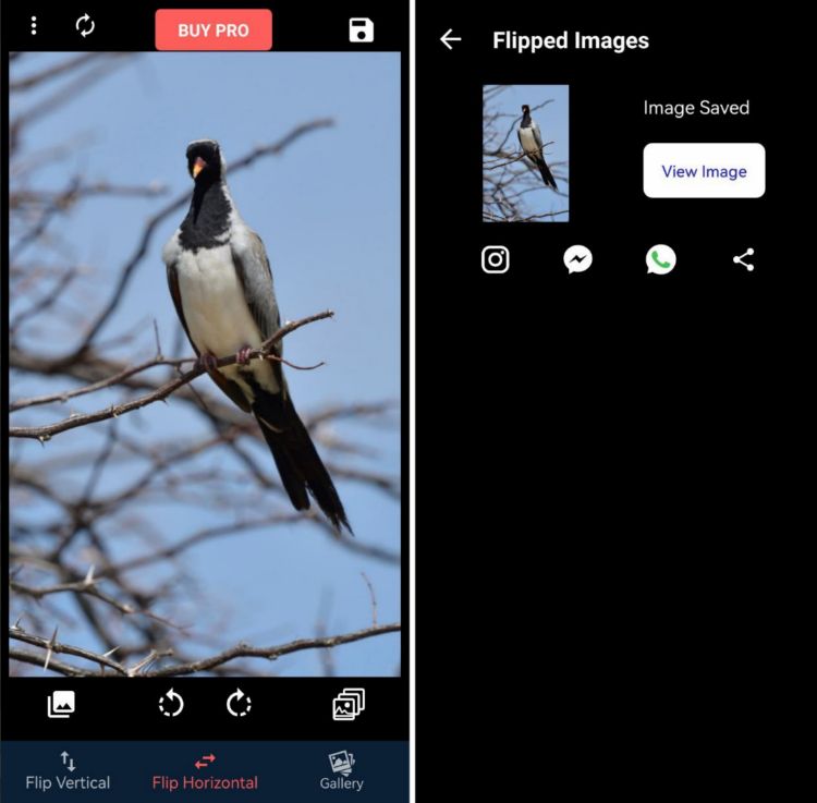 Сохранение зеркально отражённой фотографии в Flip Image