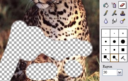 Erase Tool в PhotoFiltre Studio X показывает удаление области и прозрачную сетку