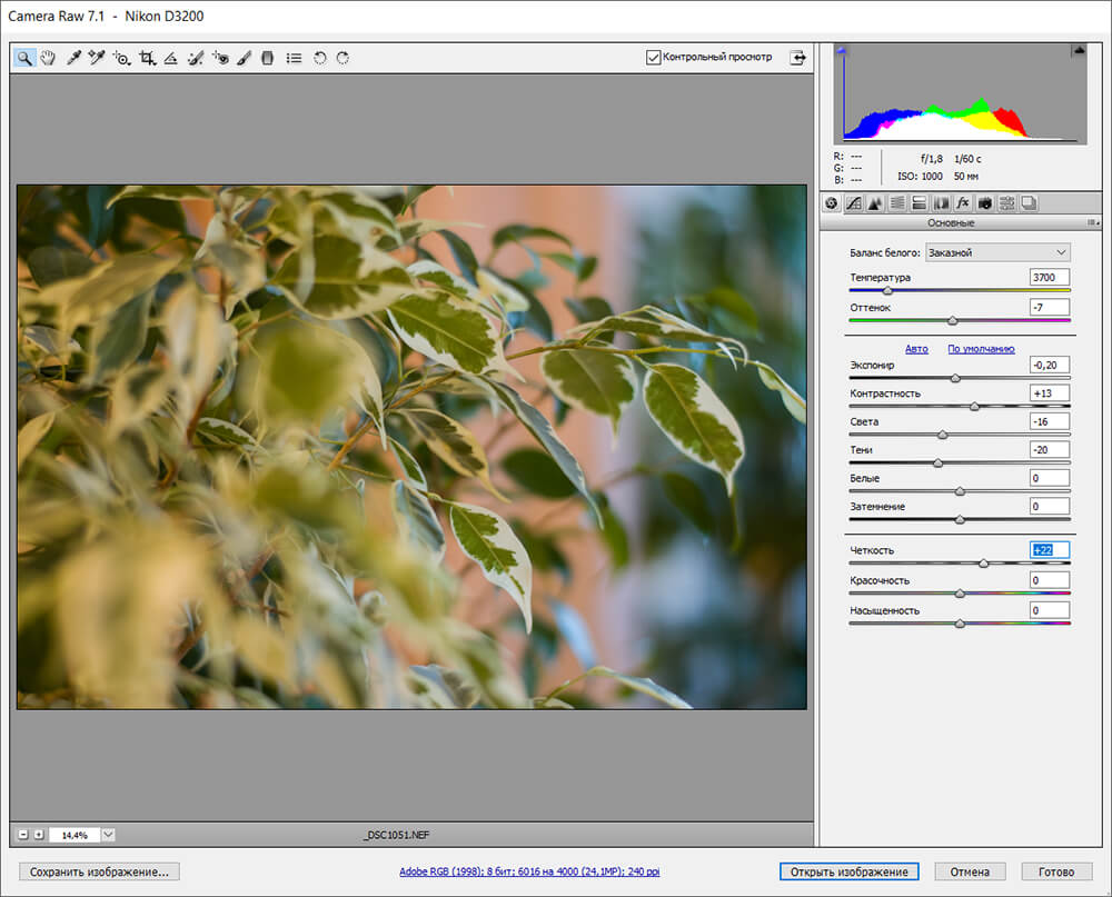 Открытый RAW-файл в Adobe Camera Raw перед сохранением JPEG