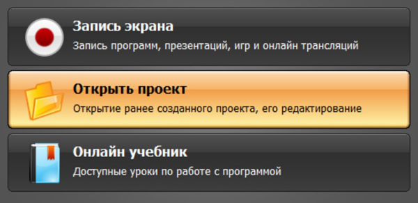 Панель настройки области и источника звука в Экранной камере