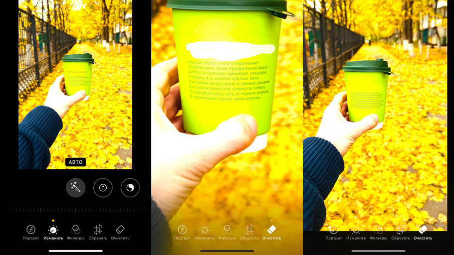 Интерфейс редактирования фотографии на iPhone перед выбором Clean Up