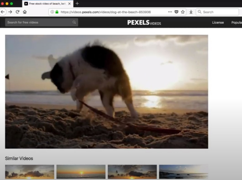 Значок Video DownloadHelper на странице с видео