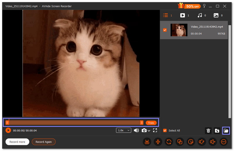 Предварительный просмотр GIF в AVAide Screen Recorder