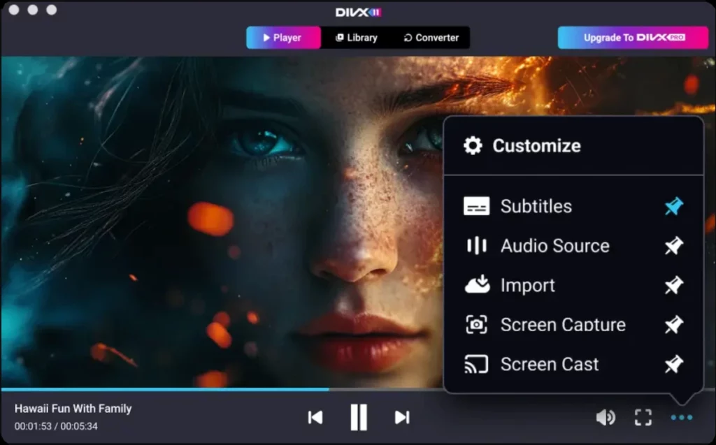 Интерфейс DivX Player в Windows