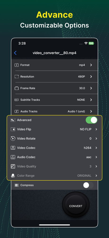 Интерфейс Video Converter and Compressor на iPhone с расширенными параметрами кодека