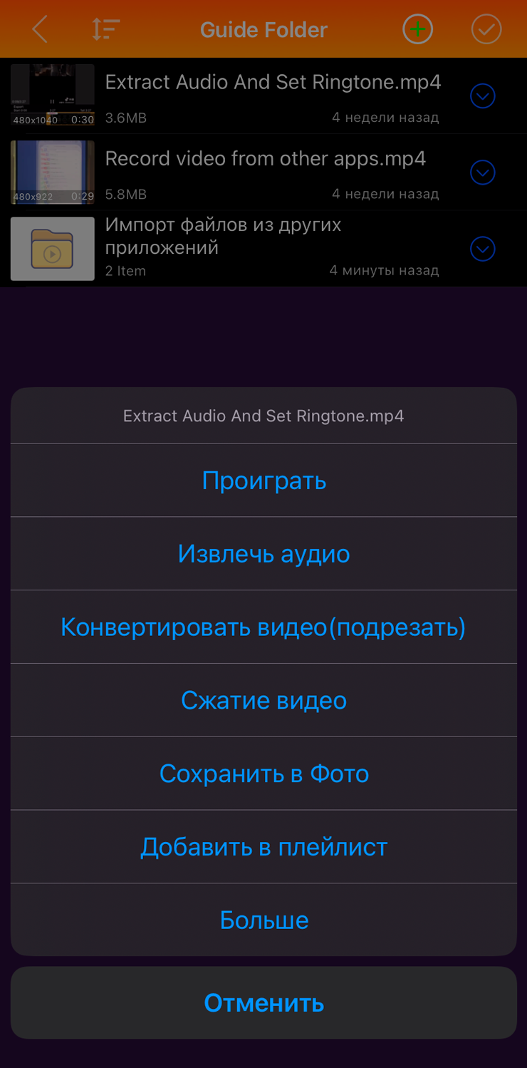 Интерфейс MP3 Converter на iPhone, экран 1
