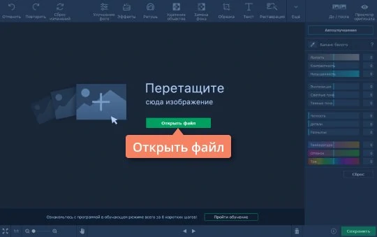 Кнопка Открыть файл в Мовавика Фото