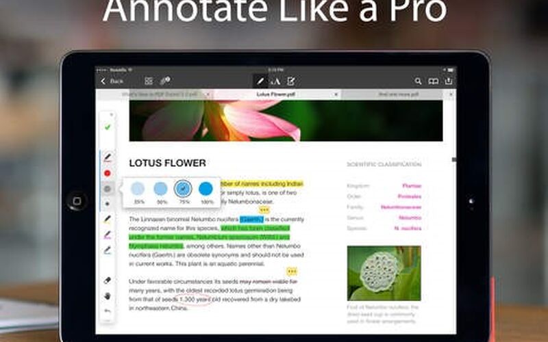 Интерфейс PDF Expert на macOS