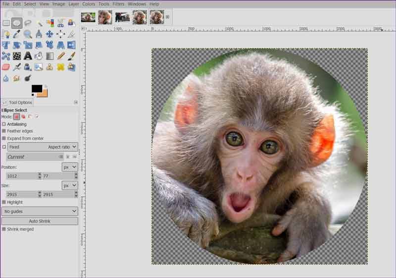 Инструмент Crop и параметры рамки в GIMP