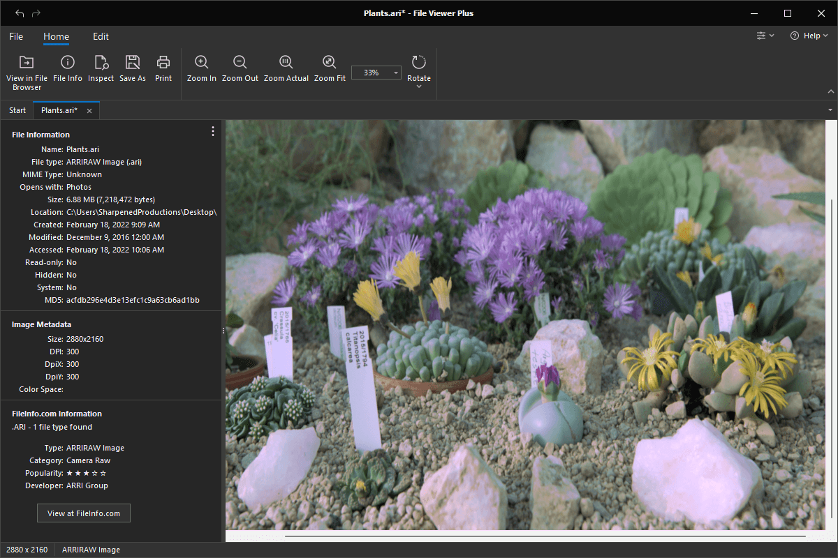 ARRIRAW кадр ARI открыт в File Viewer Plus