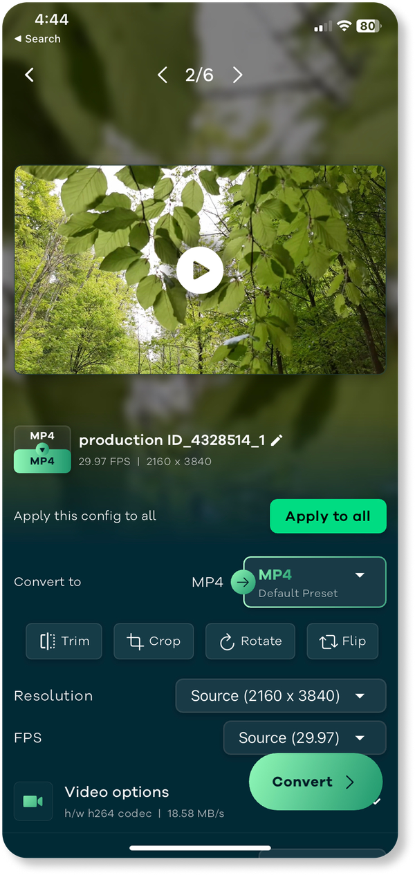 Интерфейс Remux - Video Converter с форматом, Trim, Crop, Rotate, Resolution и FPS
