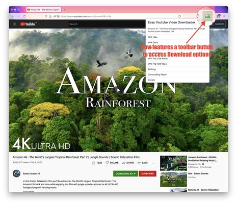 Кнопка Easy Youtube Video Downloader Express на странице YouTube