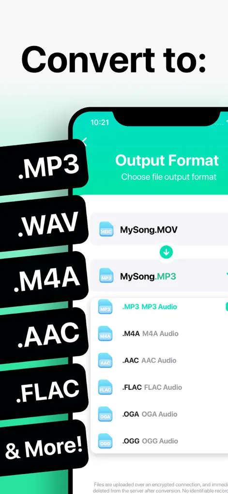 The Audio Converter: выбор Output Format, включая MP3, M4A, AAC и FLAC