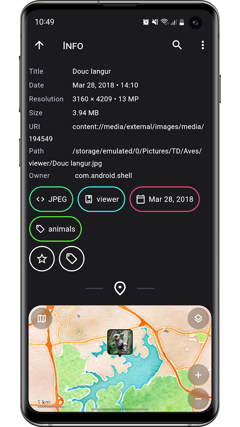 Экран метаданных и карты в Aves Gallery на Android