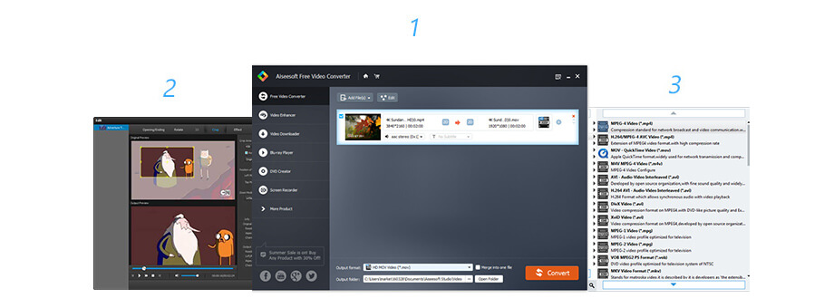 Aiseesoft Free 3GP Converter: интерфейс конвертера