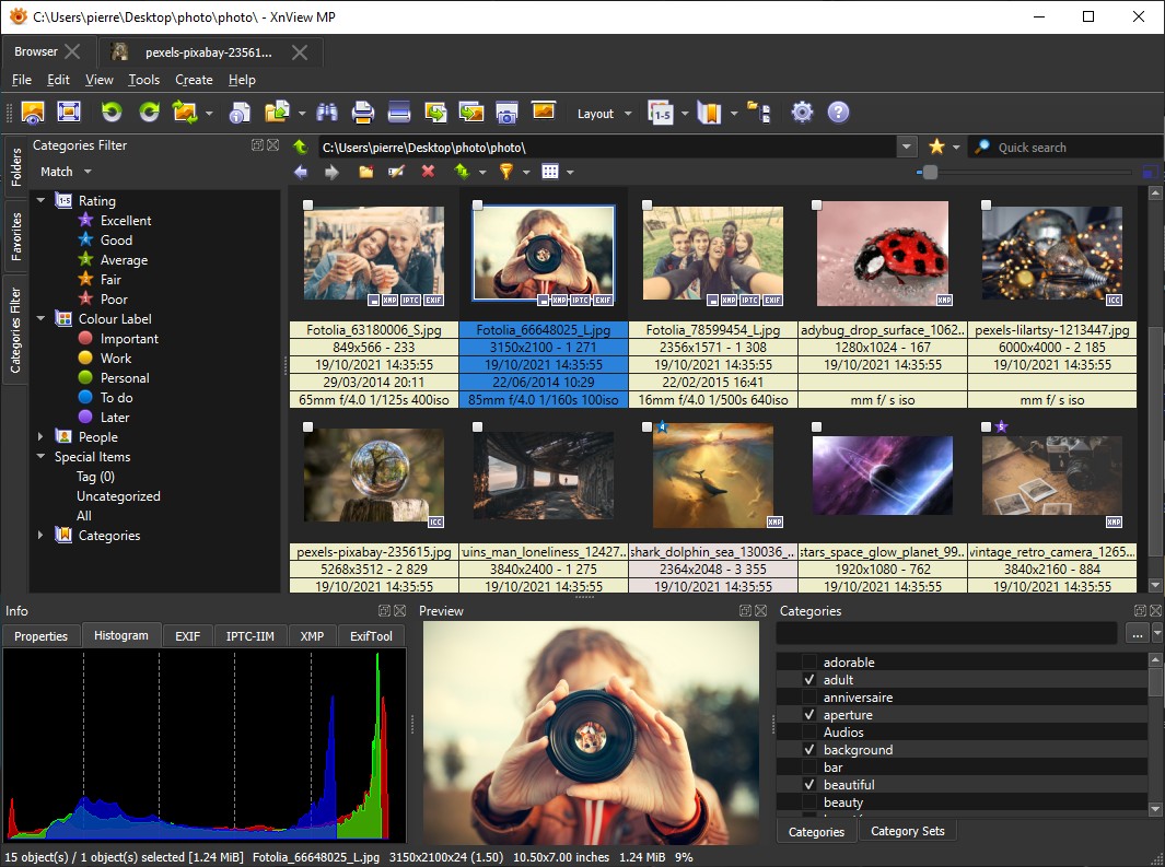 Browser XnView MP на Windows