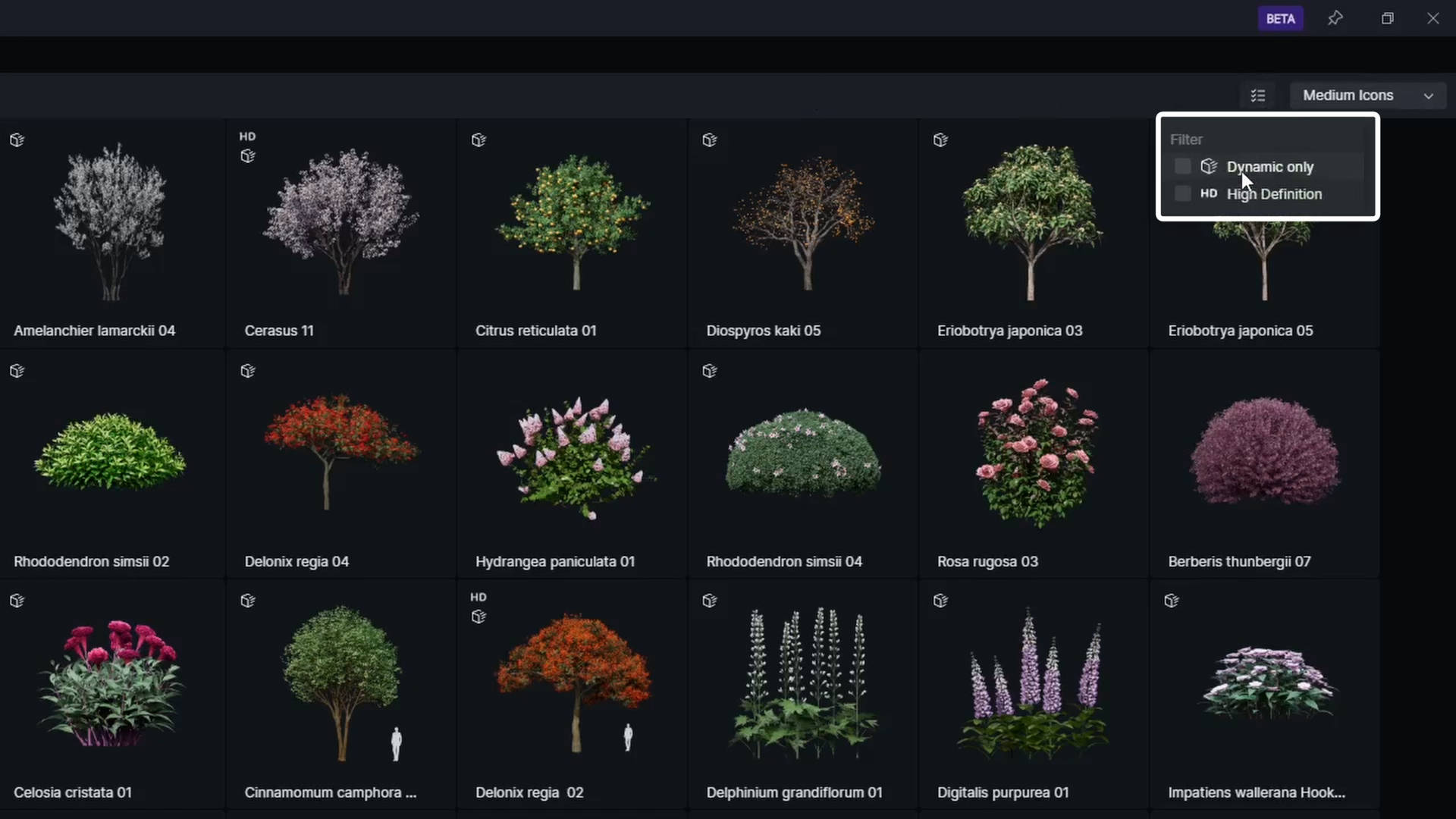 Фильтр Asset Library D5 Render с вариантами Dynamic only и High Definition