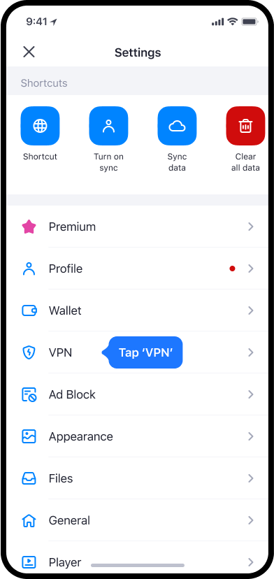 Настройки Aloha Browser на iPhone с разделом VPN