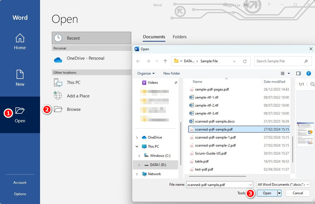 Пример открытия PDF через команду Open в Microsoft Word