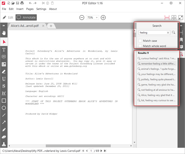 Match case, Match whole word и результаты поиска в Icecream PDF Editor