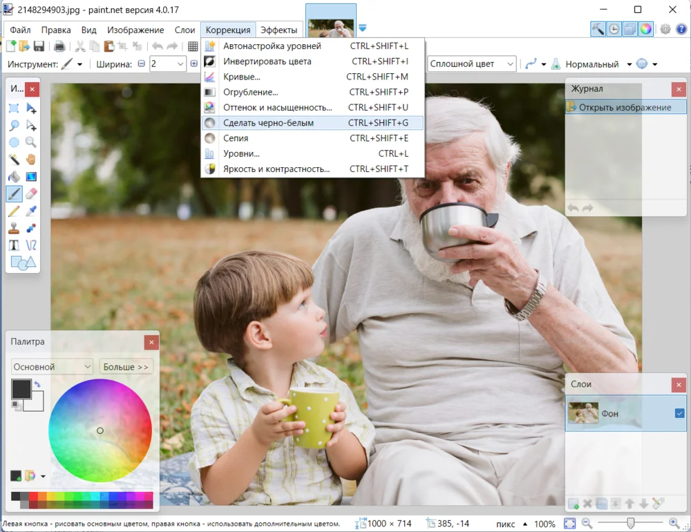 Добавление шума на чёрно-белую фотографию в Paint.NET