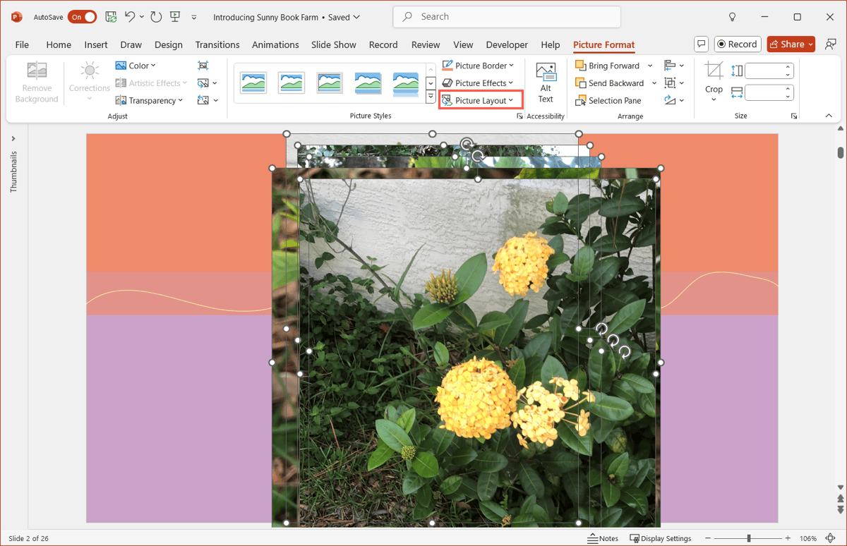 Выбор Picture Layout в PowerPoint