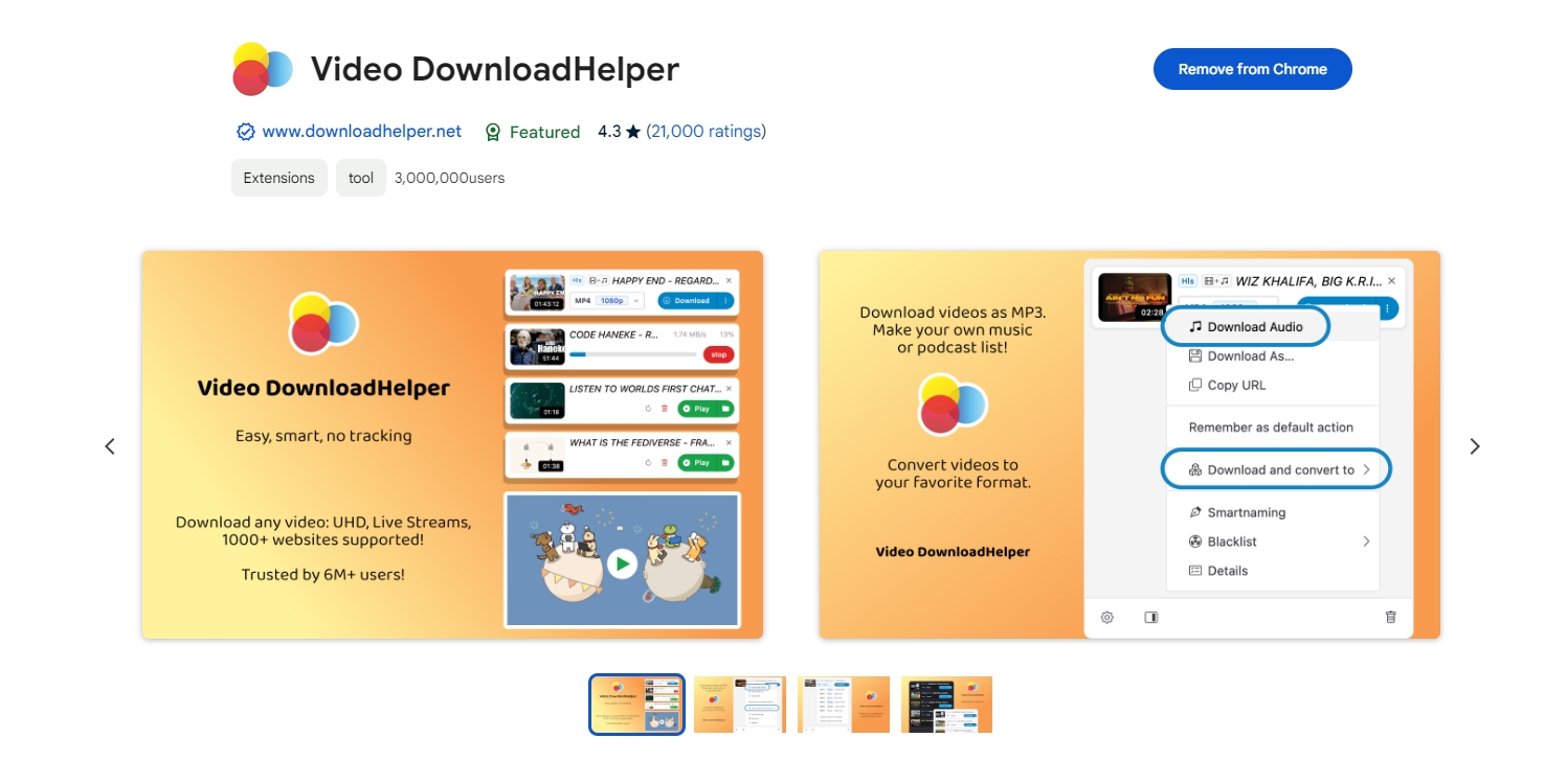 Список найденных медиапотоков в Video DownloadHelper