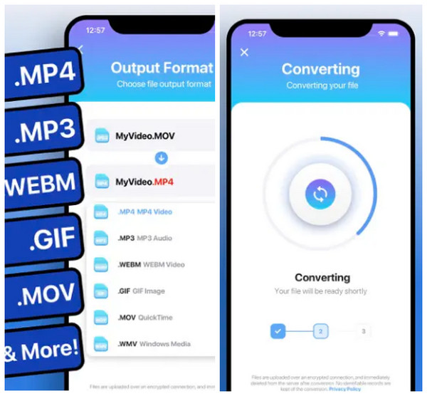 Выбор MP4 и конвертация в The Video Converter