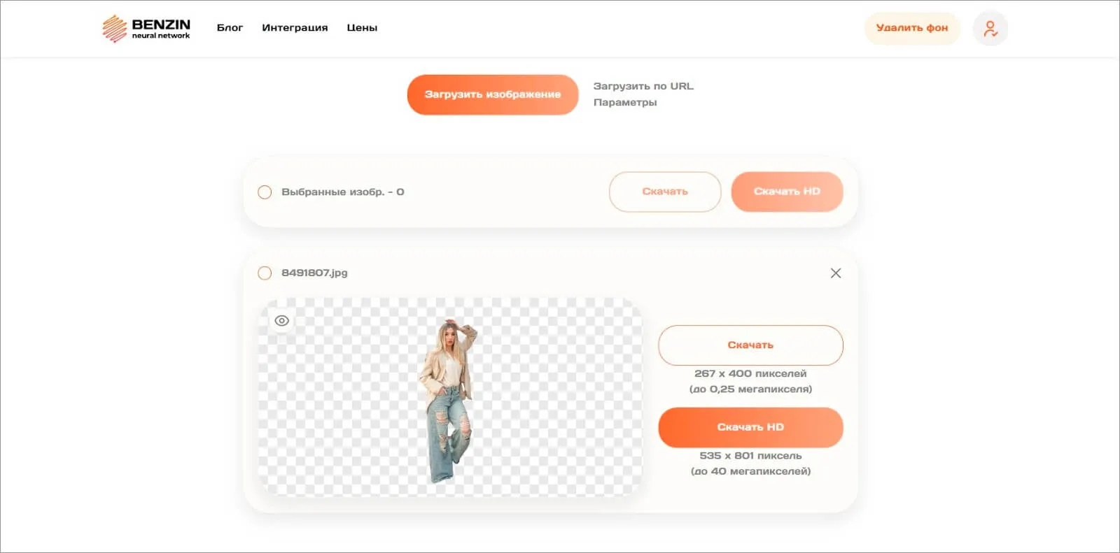 Результат автоматической обработки в Benzin.io