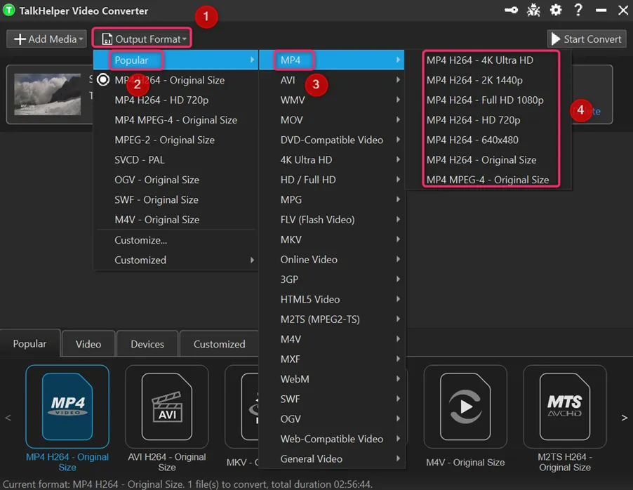 Выбор MP4 в TalkHelper Video Converter