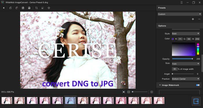 Параметры обработки DNG в WidsMob ImageConvert