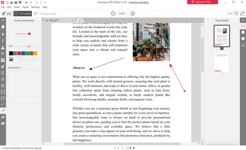 Стрелки и линии в режиме Annotate в Icecream PDF Editor