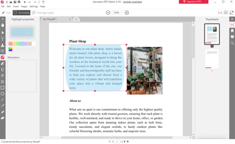 Выделение текста и области в PDF через Icecream PDF Editor