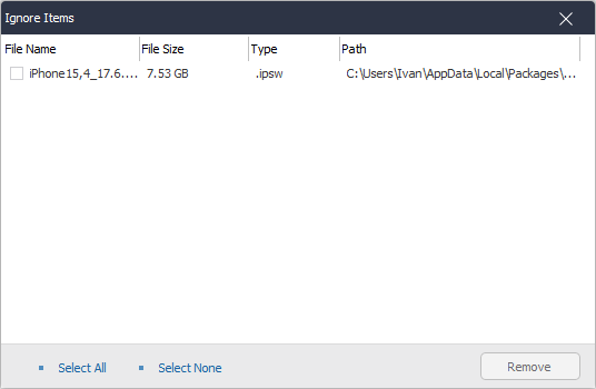 Список игнорируемых объектов в Wise Care 365 Big Files Manager